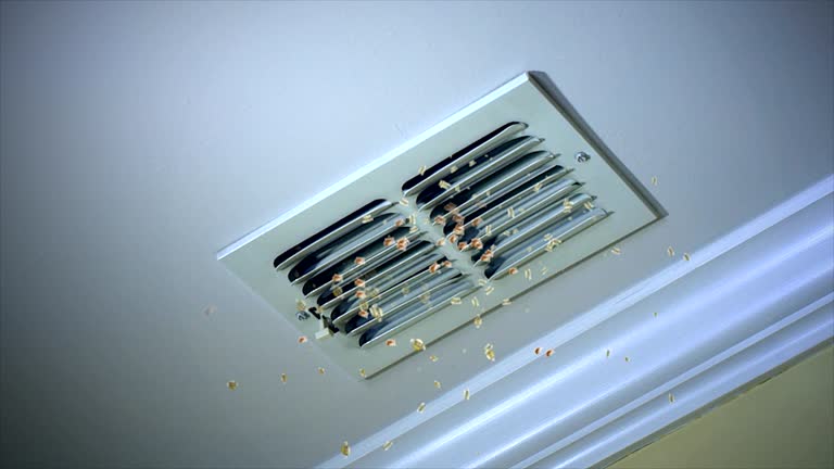 Home Air Vent Cleaning