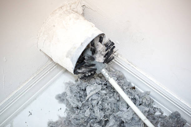 Best Professional Duct Cleaning Services  in Tuskegee, AL
